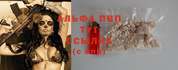 дурь Гусев