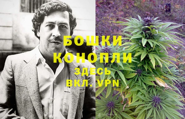 не бодяженный Гусиноозёрск
