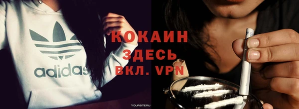 дурь Гусев