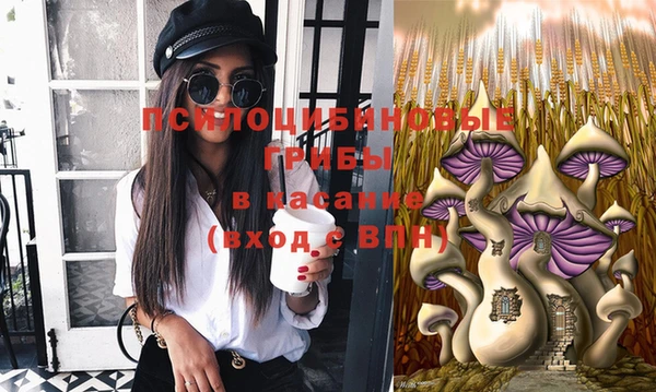 не бодяженный Гусиноозёрск