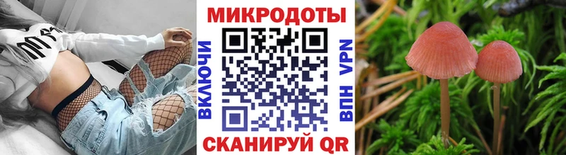 Галлюциногенные грибы Cubensis  Купить где  Слюдянка 